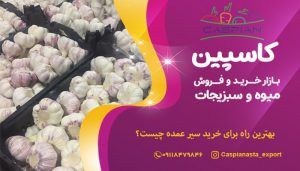 بهترین راه برای خرید سیر عمده چیست؟-min