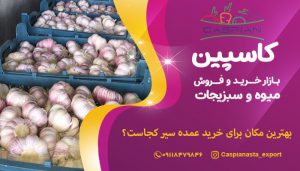 بهترین مکان برای خرید عمده سیر کجاست؟-min