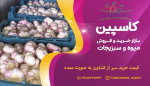 قیمت خرید سیر از کشاورز به صورت عمده-min