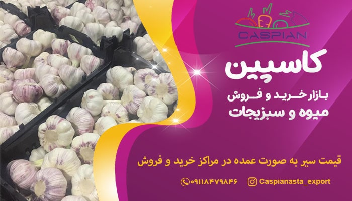 قیمت سیر به صورت عمده در مراکز خرید و فروش