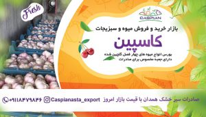 صادرات سیر خشک همدان با قیمت بازار امروز-min
