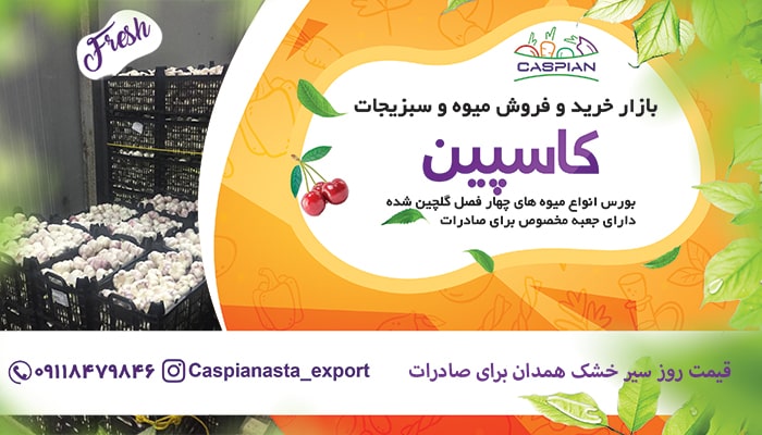 قیمت روز سیر خشک همدان برای صادرات